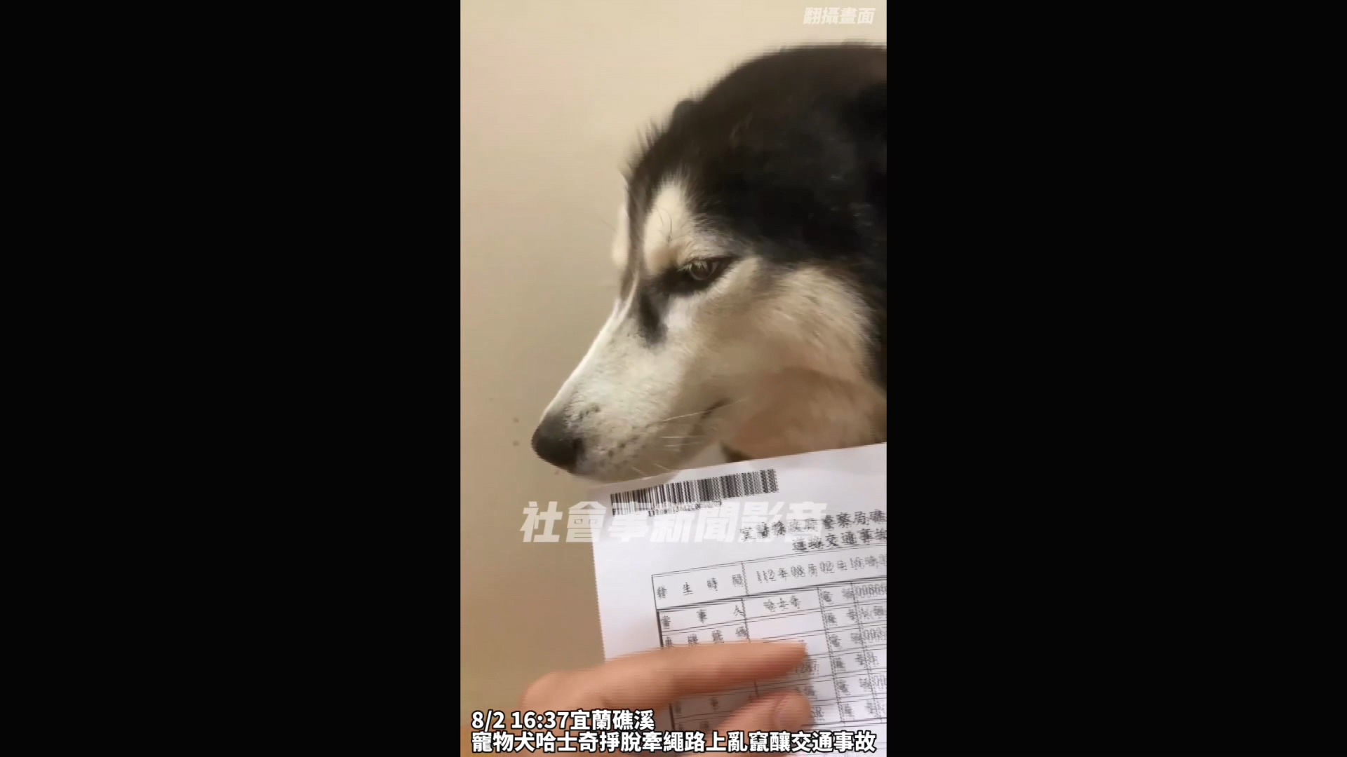 圖/翻攝自 社會事新聞影音