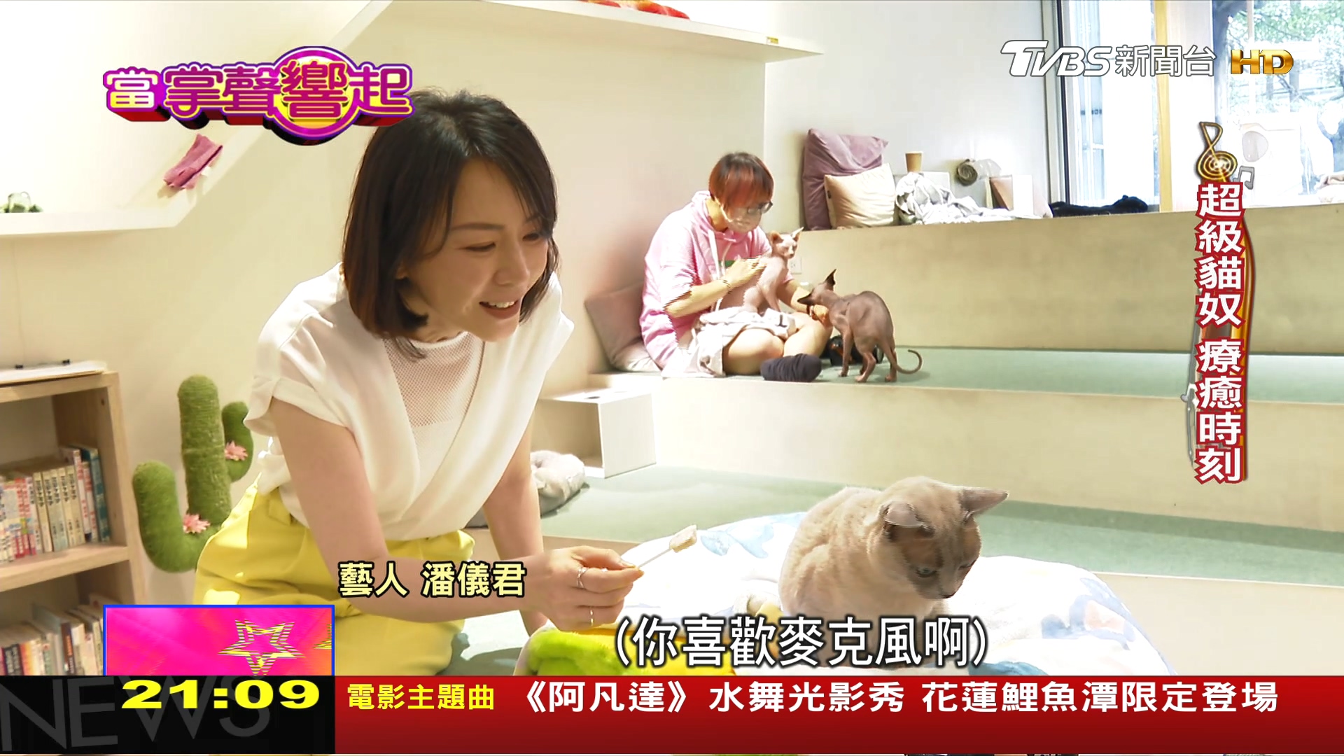 圖/TVBS