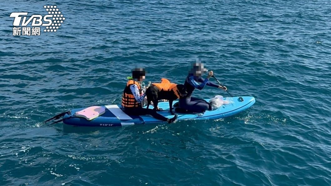象鼻岩海域玩SUP!一家3口+小黑狗「划不回來」急報案獲救