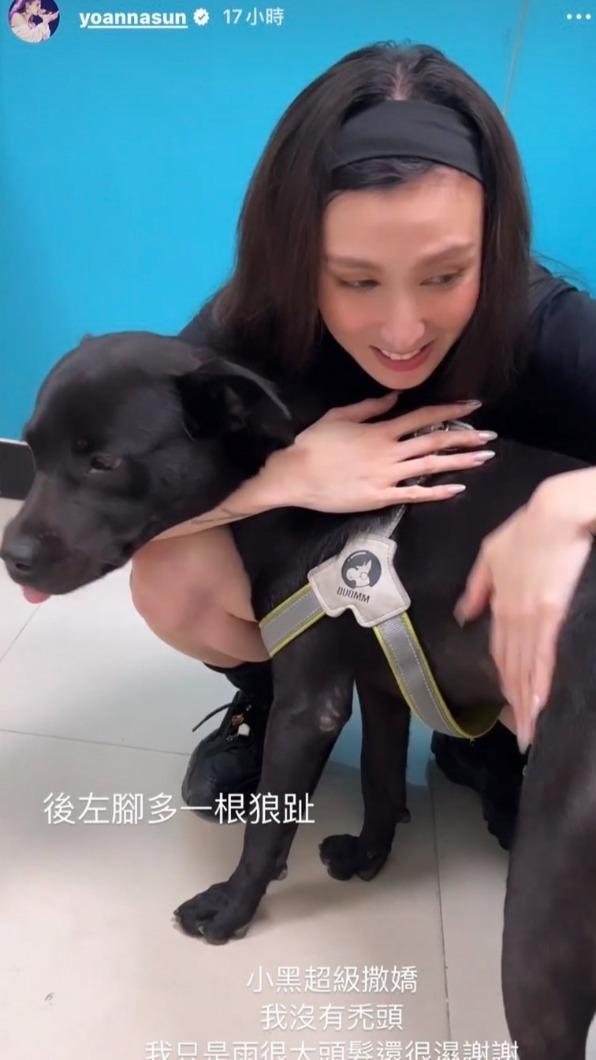 孫尤安透過社群限動協尋狗主人。(圖/翻攝自孫尤安IG限動)