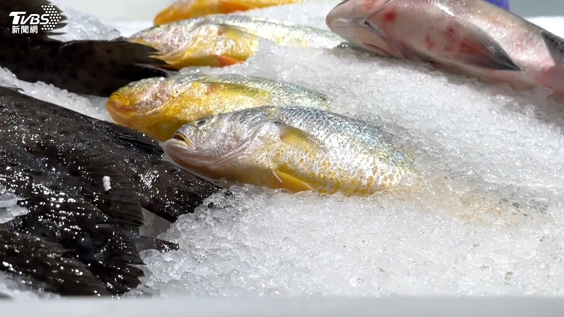 陸售台黃魚驗出禁藥 2量販+海鮮店全下架