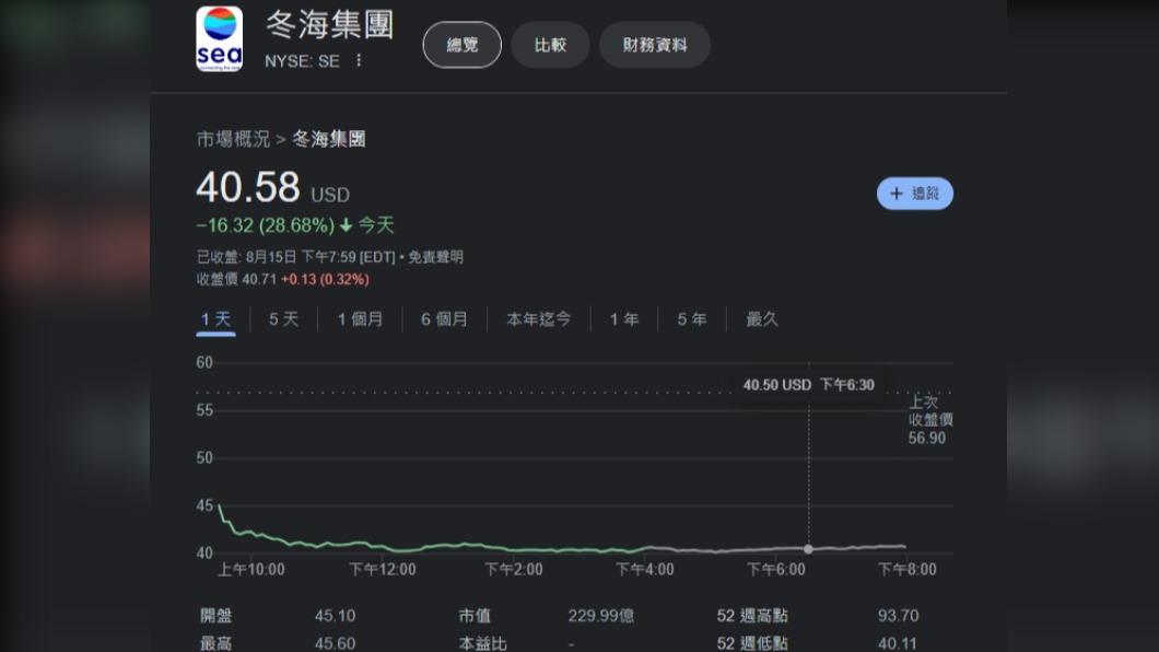 蝦皮母公司冬海集團16日遇上亂流，股價重挫28.68%。（圖／翻攝自Google財經）