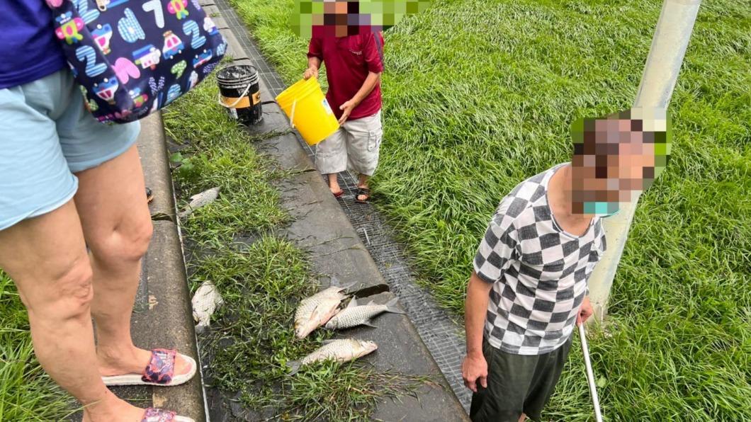 水退後民眾到籃球場抓魚。（圖／翻攝自康裕成臉書）