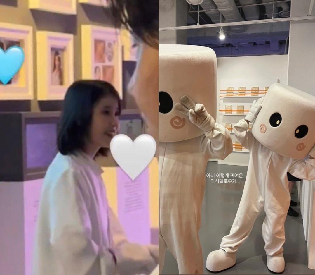 粉絲目擊IU變身成棉花糖的前後。(圖/翻攝自heyattidude推特)