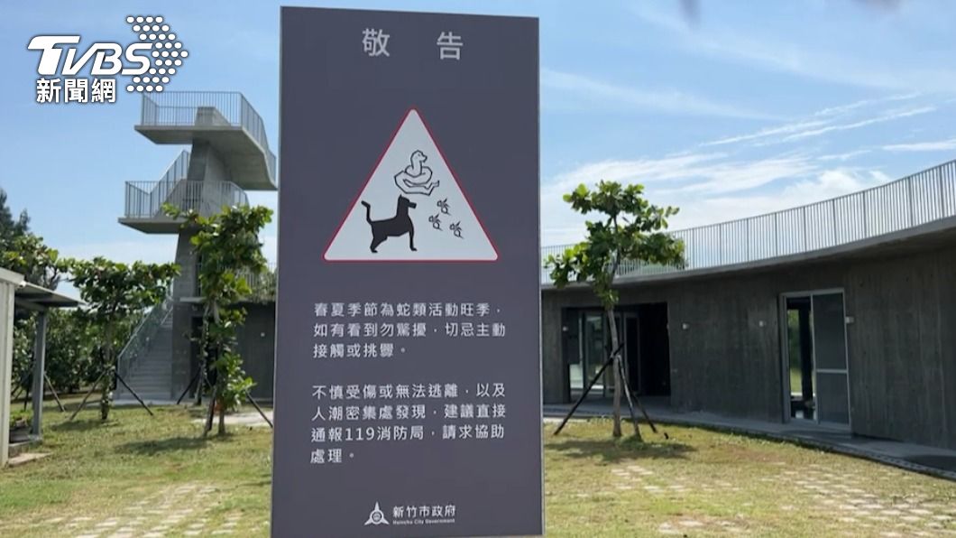 那魯灣部落時不時會有蛇類出沒。(圖/TVBS)