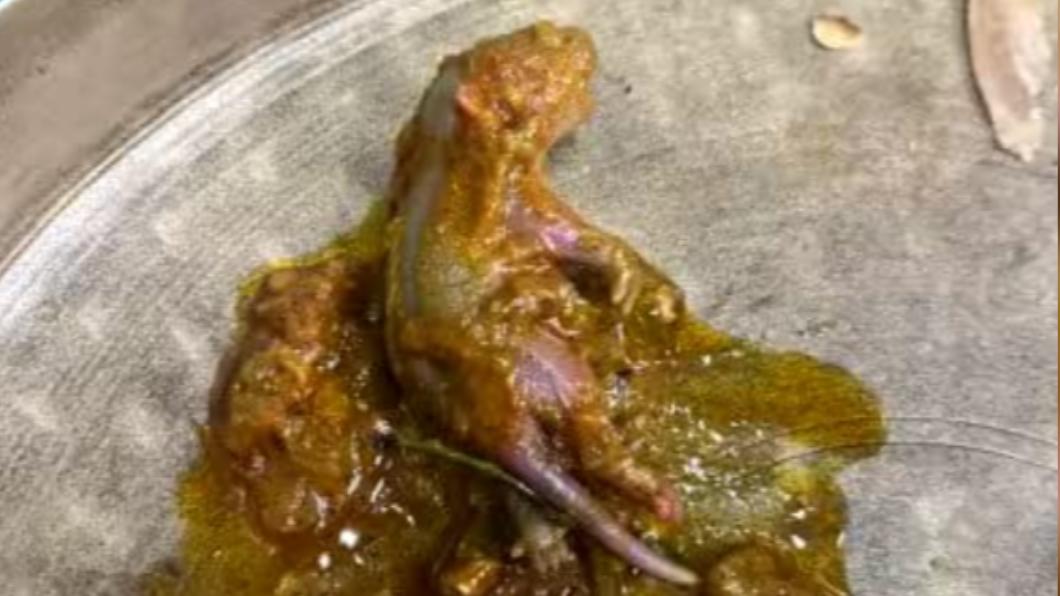 嚇!印度男吃咖哩發現詭異肉塊 撈起竟是「完整鼠屍」