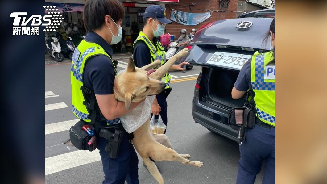 員警便順利地將狗抱下樓,並將其抱進巡邏車的後行李廂。(圖/警方提供)