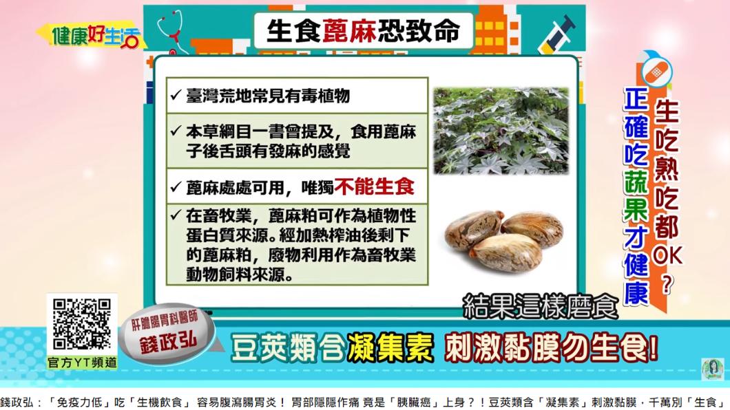 生食蓖麻恐致命。(圖/翻攝自健康好生活 YouTube)