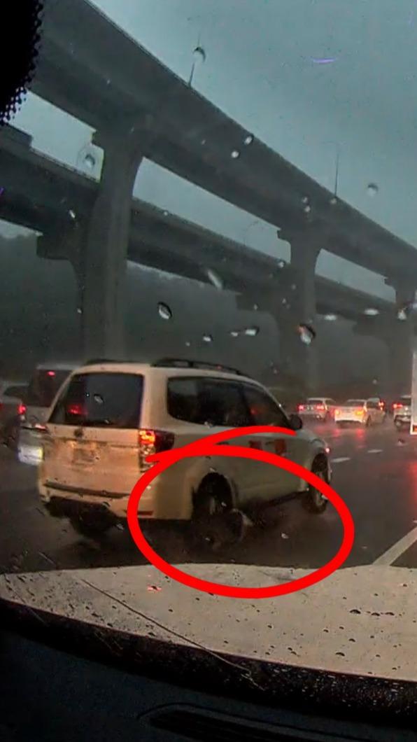 孫尤安高速公路救狗。(圖/孫尤安提供)