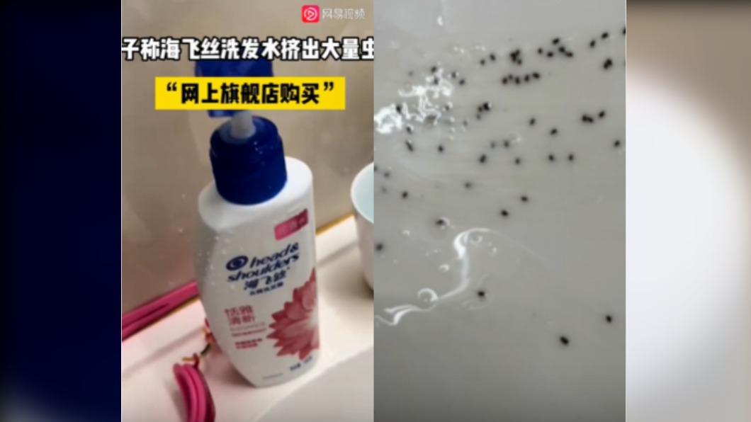 洗髮精一擠跑出「60顆蟲卵!」 有頭還有腳可能是蟑螂