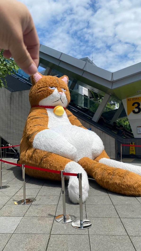 捷運劍南路站是唯一可以靠借位拍照的地點。(圖/瘋貓祭提供)