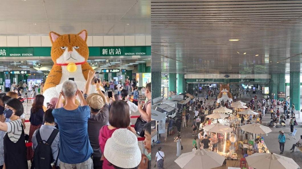 貓奴們注意!「3米厭世橘貓」週末快閃雙北 順逛文創市集