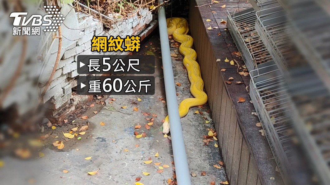 圖/TVBS