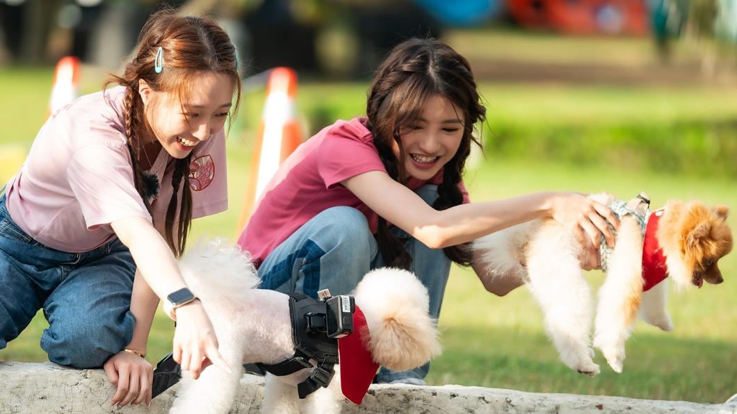 王敏淳（左）、韓菲（右）的愛犬各自在節目中表演才藝。（圖／TVBS）