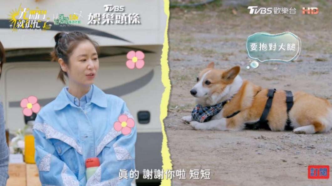 林心如被狗認證「最美女星」 牠要陳昊森說話算話:有時間常相處