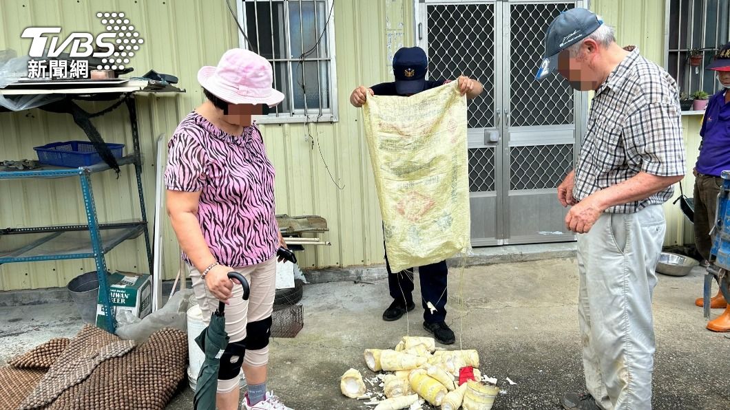 同林鳥？老夫妻偷挖筍「逮個正著」　大難臨頭尪先開車跑
