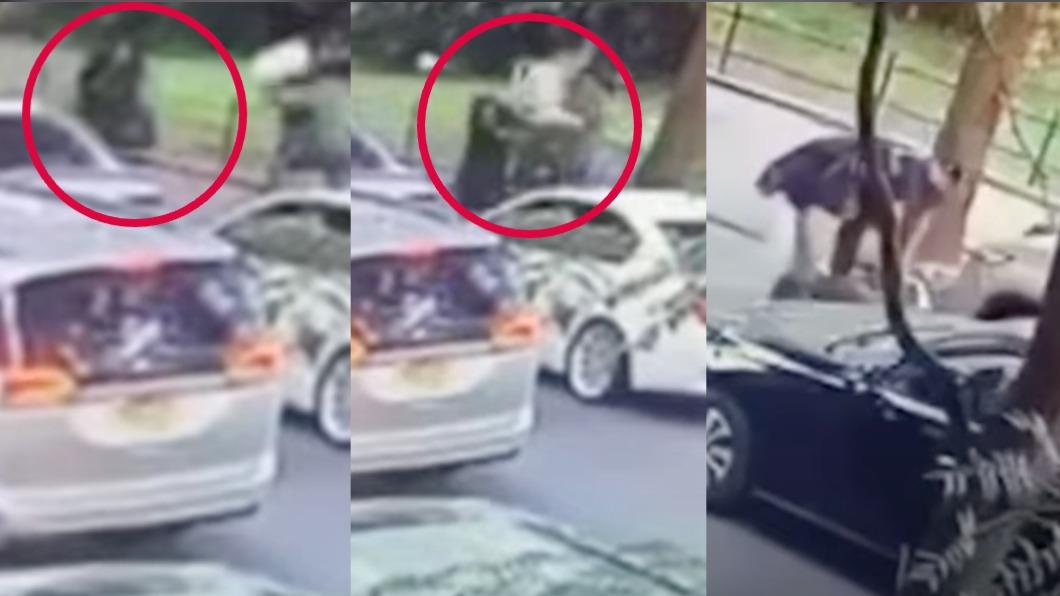 有片/紐約警抓毒販害死人!超近距離砸冰桶爆頭畫面曝光