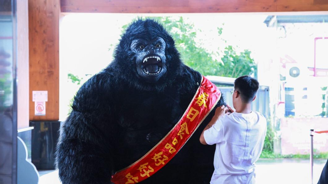 黃文星挑戰穿玩偶裝。(圖/民視提供)