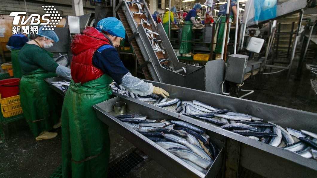 中國禁日本水產　俄羅斯趁虛而入高調搶市：我們不受福島汙染