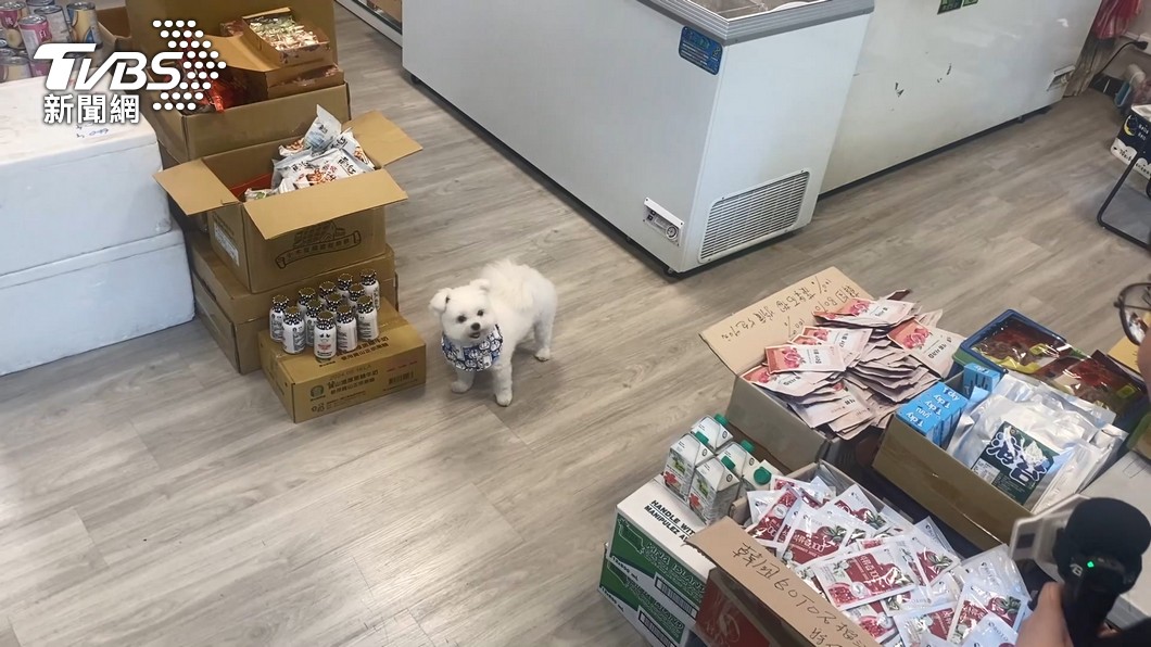 圖/飼主吳小姐授權