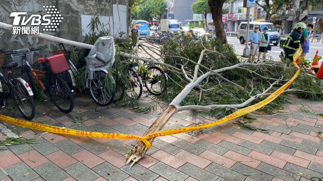 快訊/北市又有樹倒 六張犁捷運站30多歲女遭砸送醫