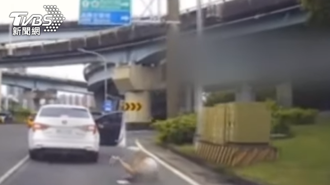 汪女跳車後摔倒翻滾一圈。（圖／TVBS）