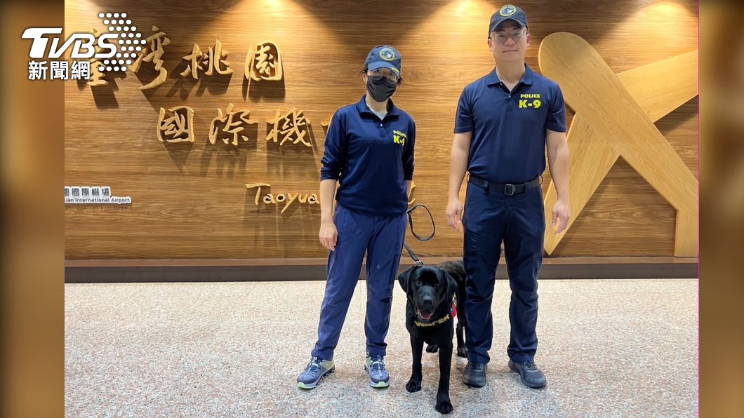 虛擬幣冷錢包都能嗅出! 首隻電子產品偵測犬 亞洲僅3隻