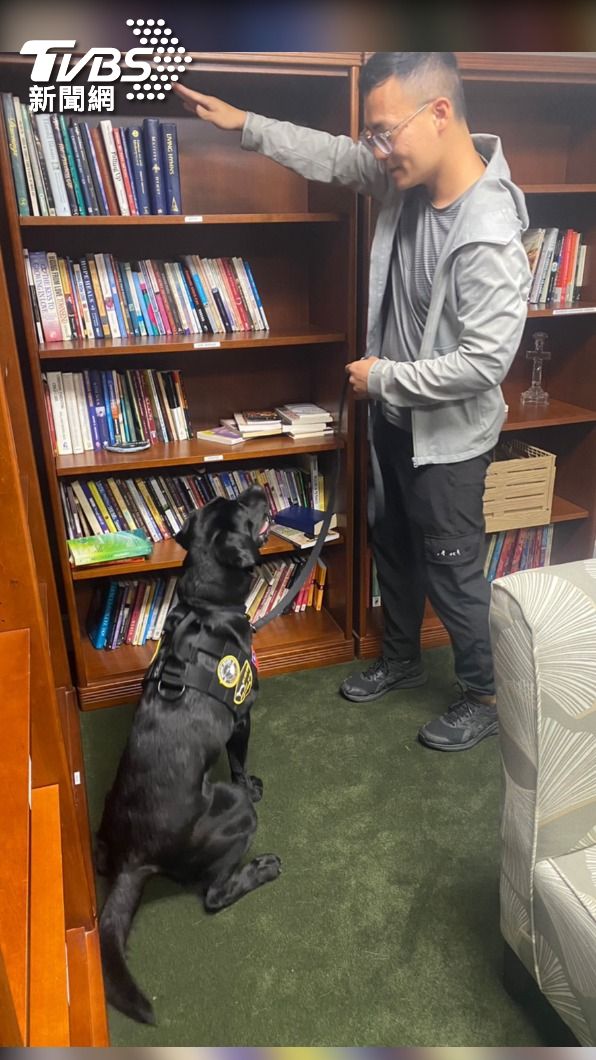 K9 ESD偵測犬為一種新型偵測電子產品之警犬。(圖/TVBS)