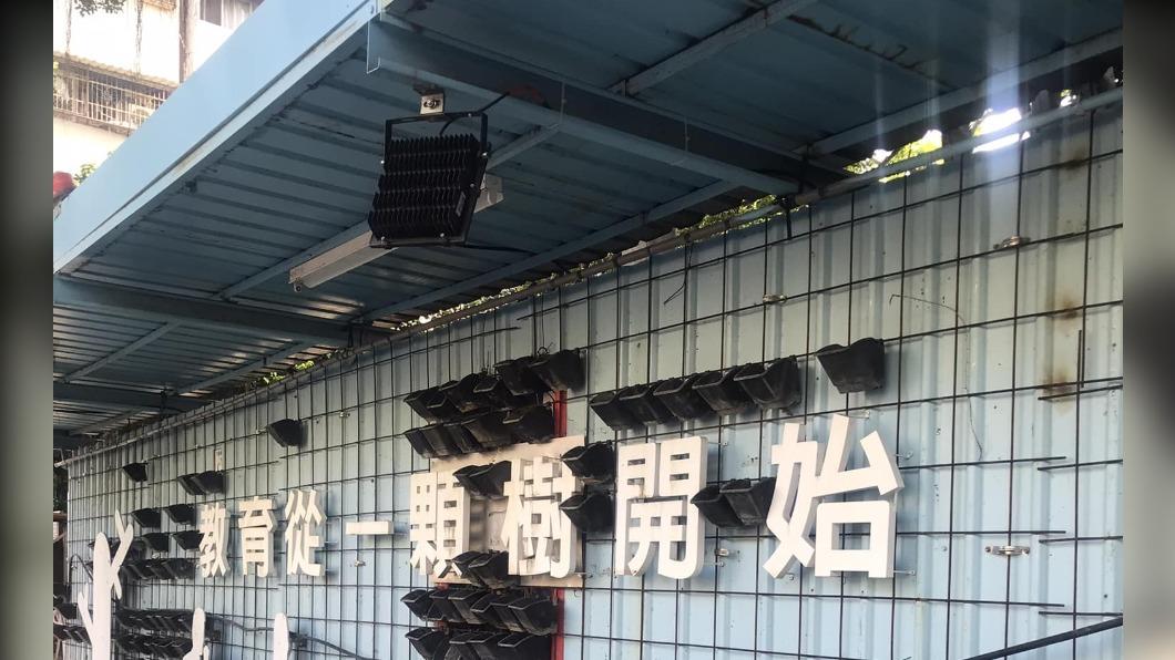 教育從一「顆」樹開始/圖 路上觀察學院