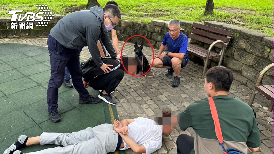 詐翁投資手續費要50萬!17歲車手面交被警犬狂吠嚇趴求饒