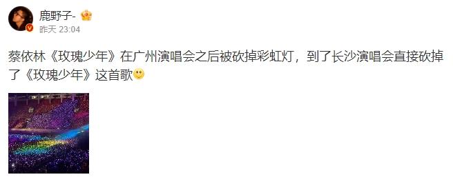 大陸網友分享蔡依玲演唱會《玫瑰少年》被砍。(圖/翻攝自微博)