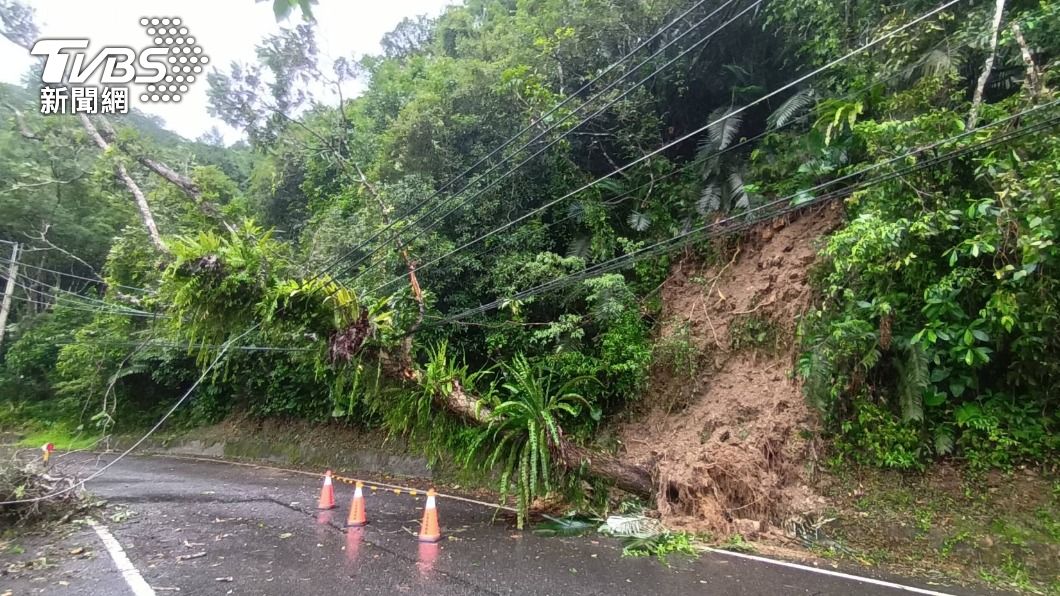 路樹倒塌壓電線造成清水地熱跳電。(圖/TVBS)
