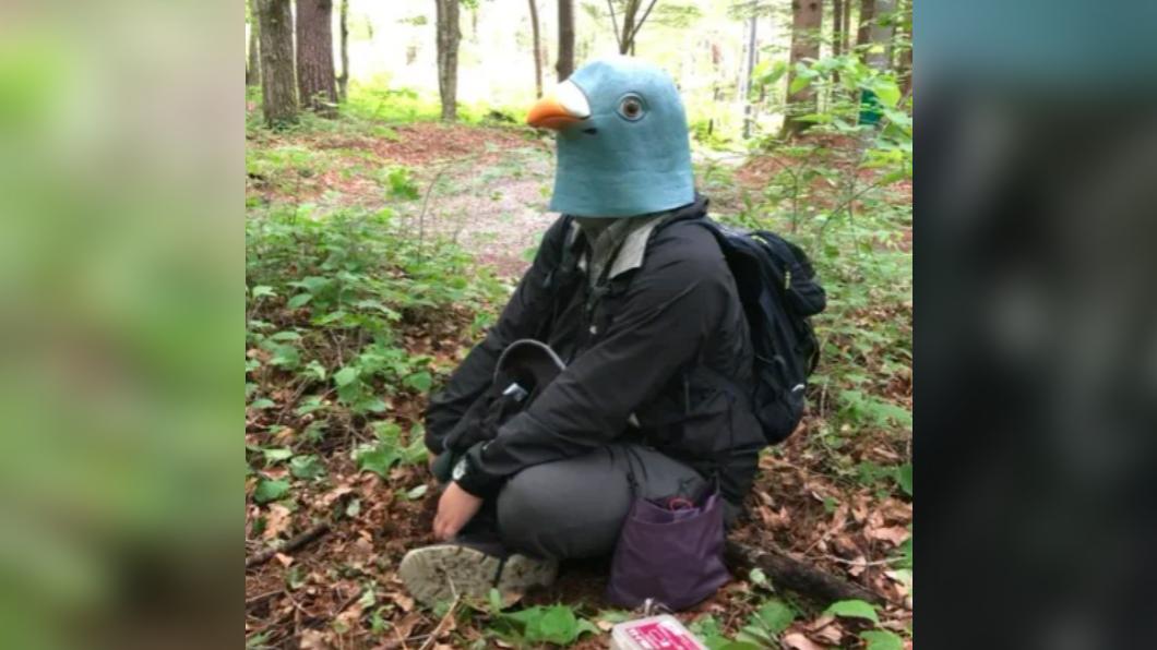 降戒心出奇招！專家為研究鳥類戴「頭套」裝成同伴　實驗結果曝