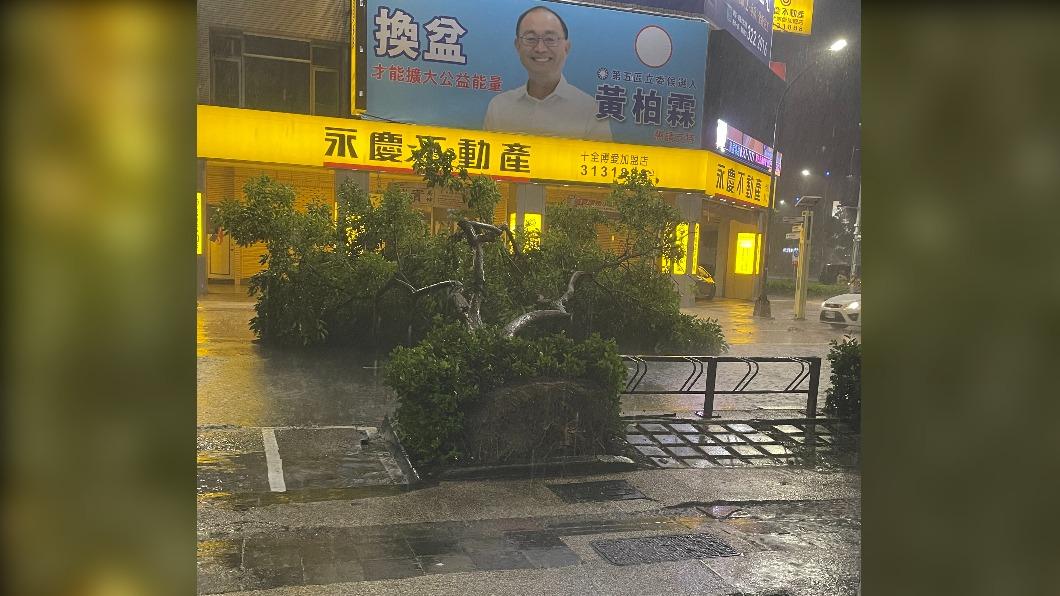 高雄博愛路、十全路附近有路樹倒塌。(圖/TVBS)