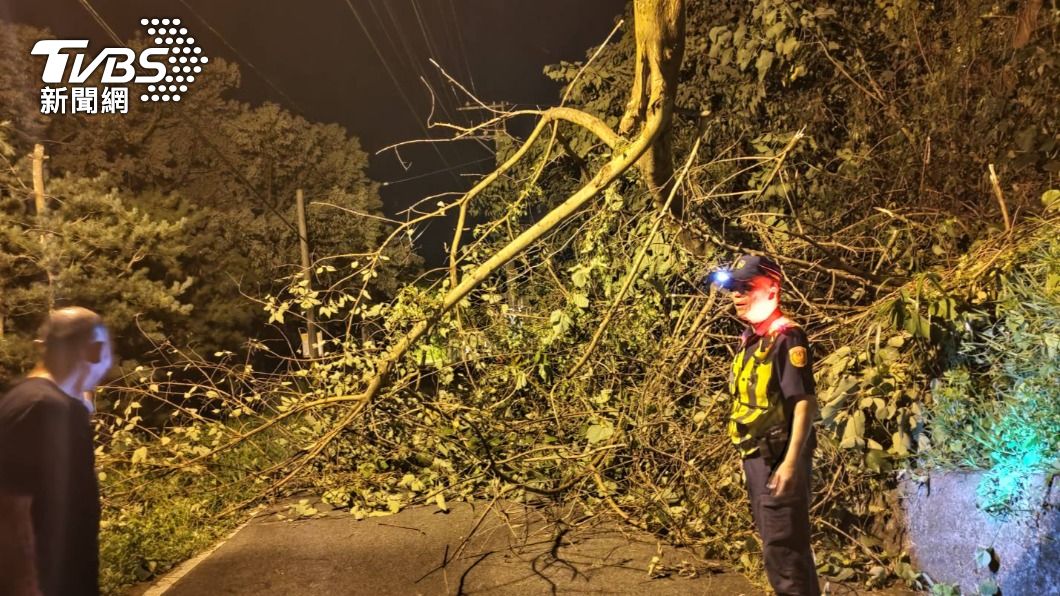 路樹倒塌造成交通受阻。（圖／警方提供）