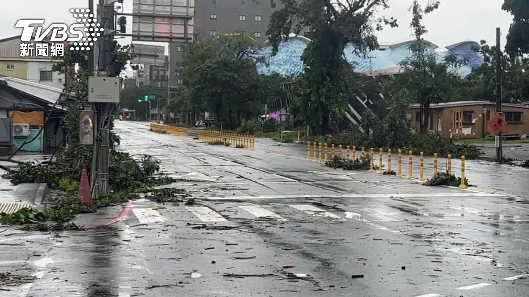 台東市區有路樹遭吹倒。（圖／TVBS）