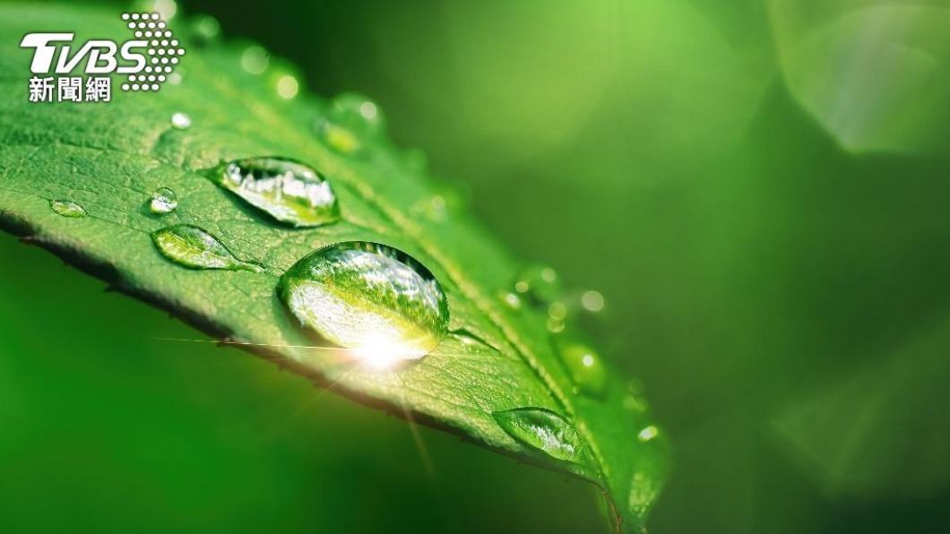 白露開始天氣轉涼。(示意圖/shutterstock達志影像)