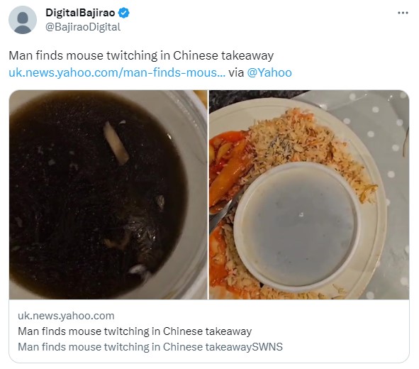 帶毛鼠屍甚至還在湯碗中抽動。（圖／翻攝自Twitter）