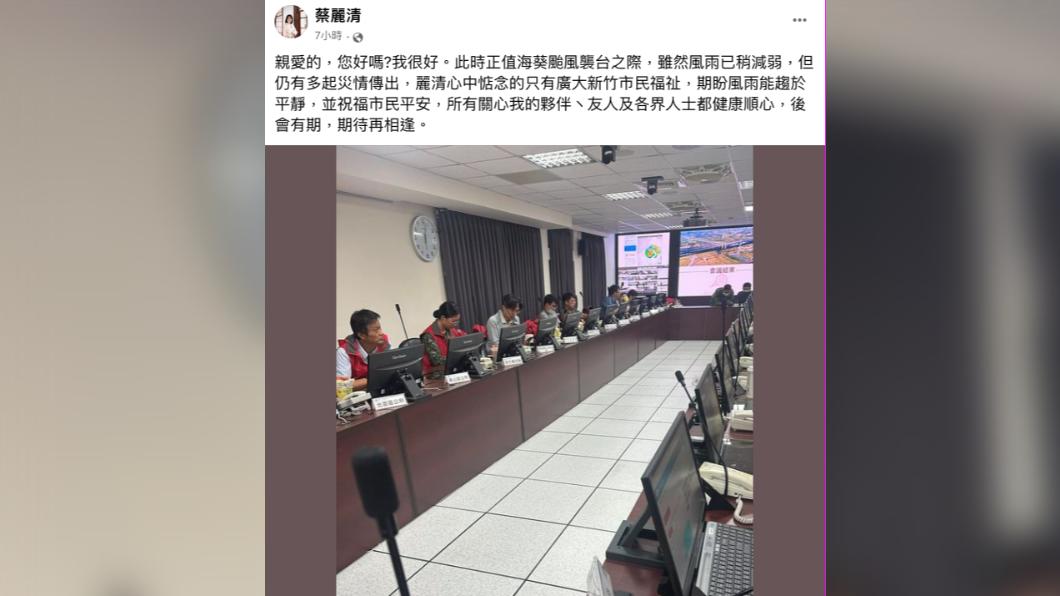 蔡麗清今（4）日在臉書發文吐露心聲。（圖／蔡麗清臉書）