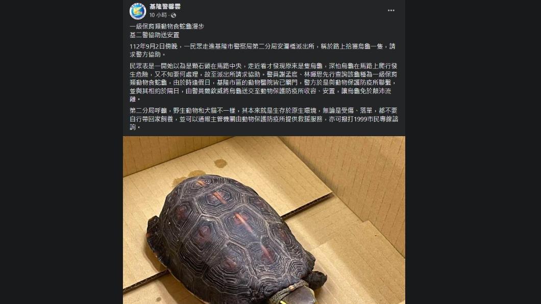基隆市警局分享拾龜案。(圖/翻攝自臉書)