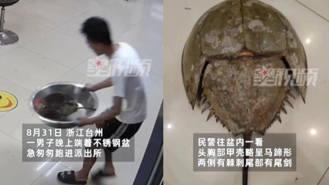 捕魚撈到藍血海怪！整排棘刺＋劍尾　竟是4億年「海洋活化石」