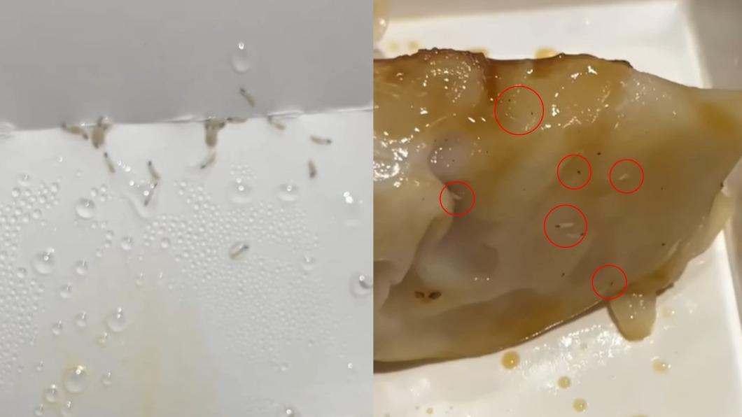 吃鍋貼吃到大坨肥蛆 業者發聲明否認:不可能