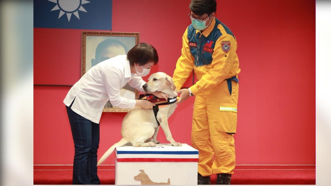 搜救犬「鐵雄」退役! 開放台中市府員工及志工領養