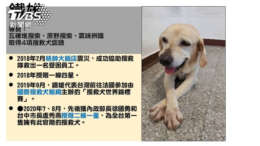 搜救犬「鐵雄」退役 開放市府員工及志工領養
