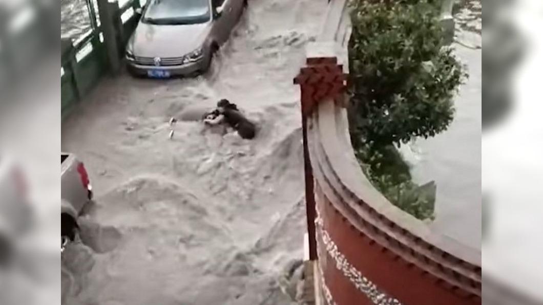 圖／翻攝自大陸 西瓜视频