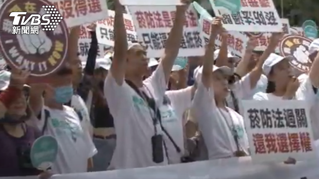 CLEAN AIR大聯盟千人上凱道。(圖/TVBS)