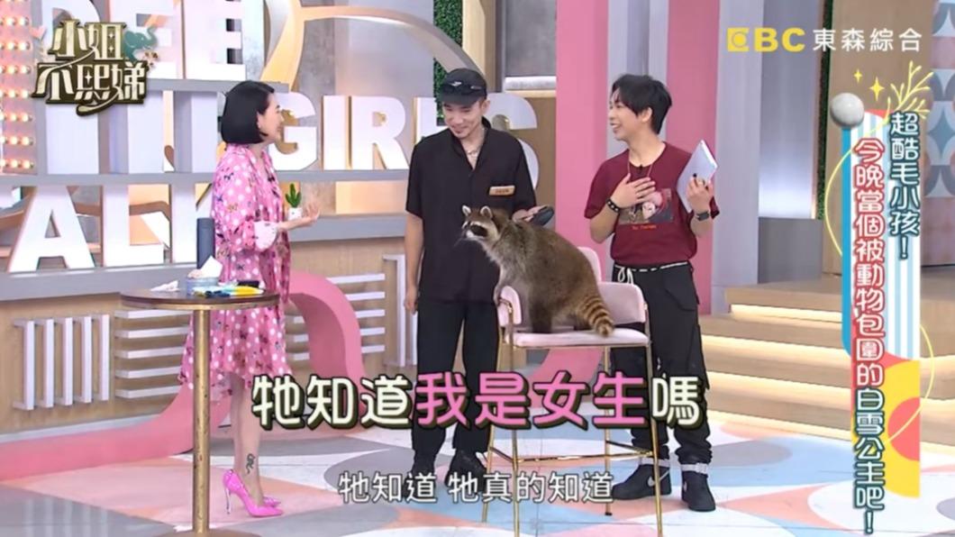 小S不敢太靠近浣熊。(圖/翻攝自小姐不熙娣YouTube)