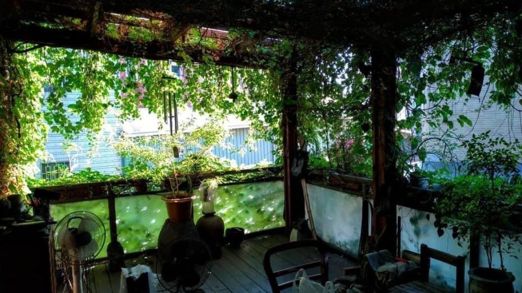 從屋內往外看別有一番風味，夏天十分消暑。（圖／翻攝自路上觀察學院）