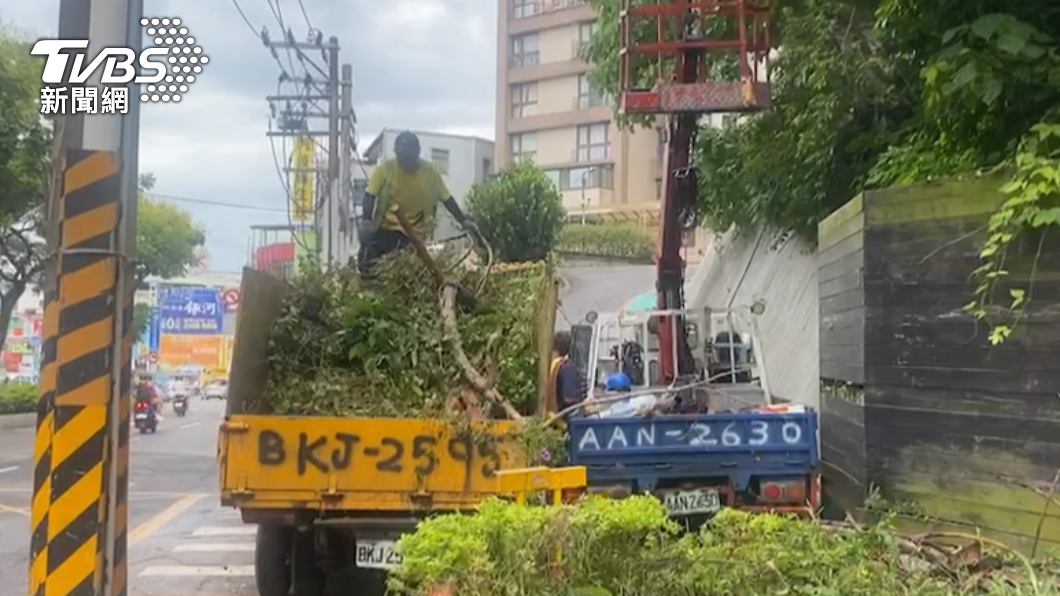 相關單位人員今日一早前往處理樹木。(圖/TVBS)