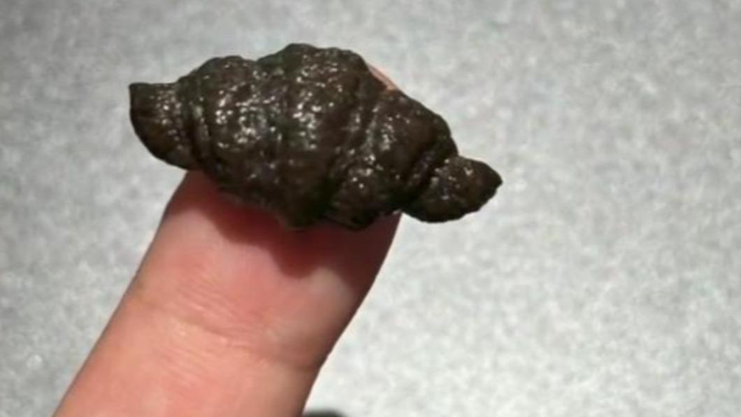 可頌照到縮小燈!麵包「甲片大小」4顆87元 網批:智商稅
